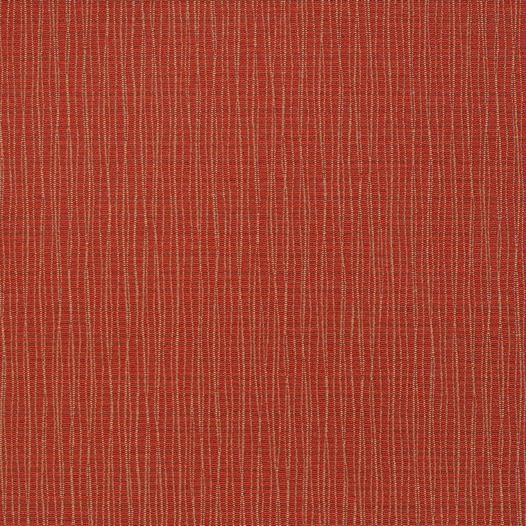 GP1081 Poppy